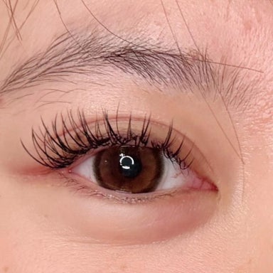 Natural Hybrid Eyelash Extensions