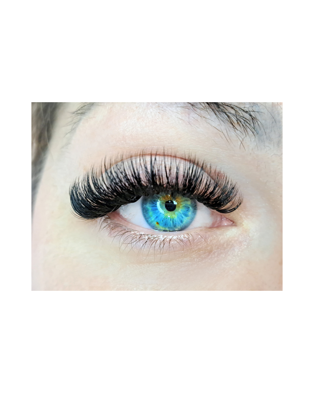Lash Extensions Services