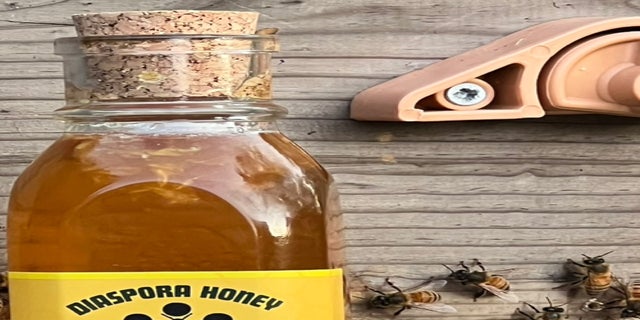 Local Wildflower Honey 16 oz (Pre-Order)