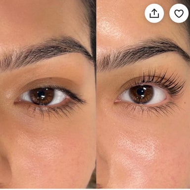 Lash Tint