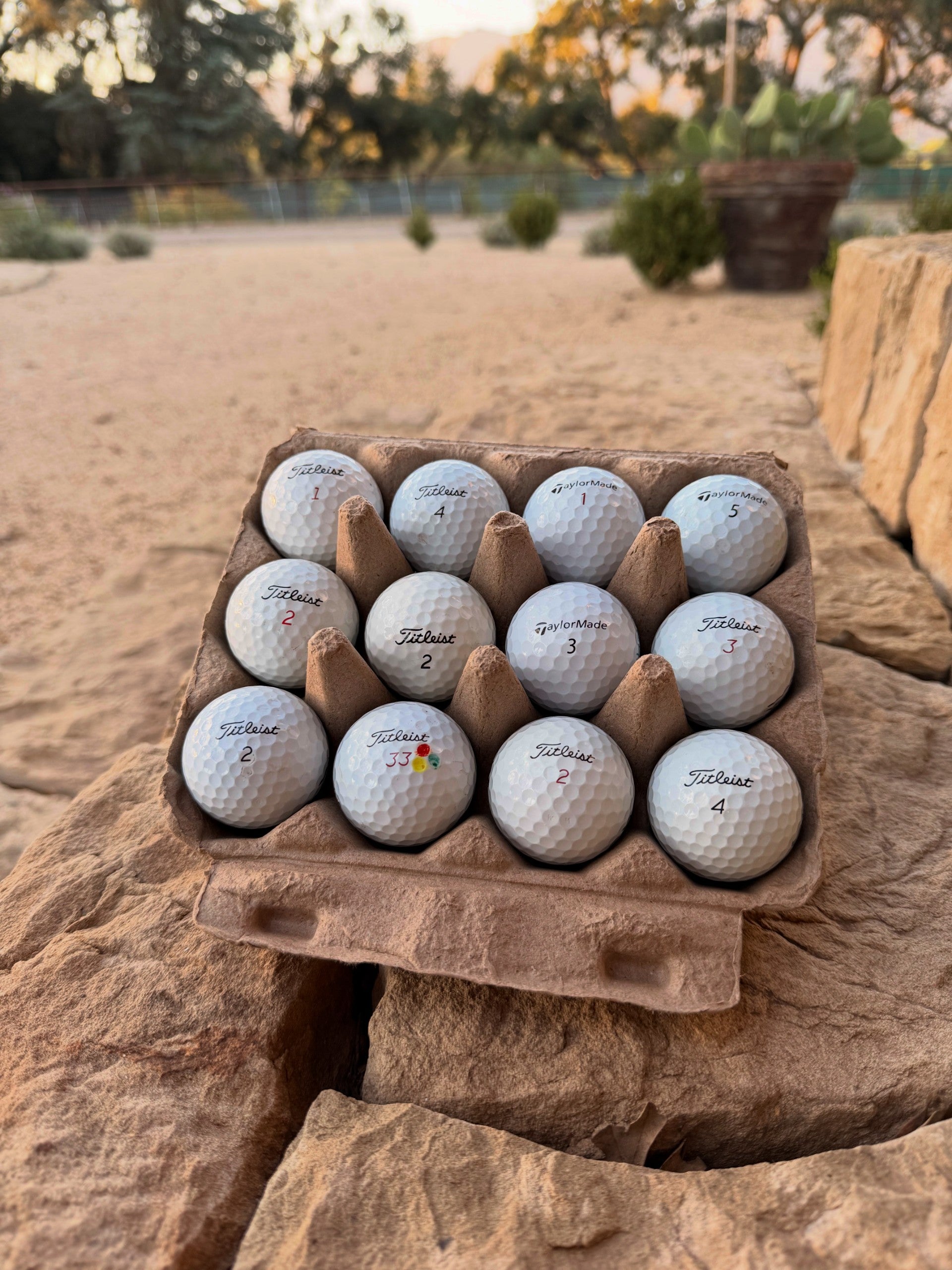 Ranch-recovered golf balls photographed at RMR