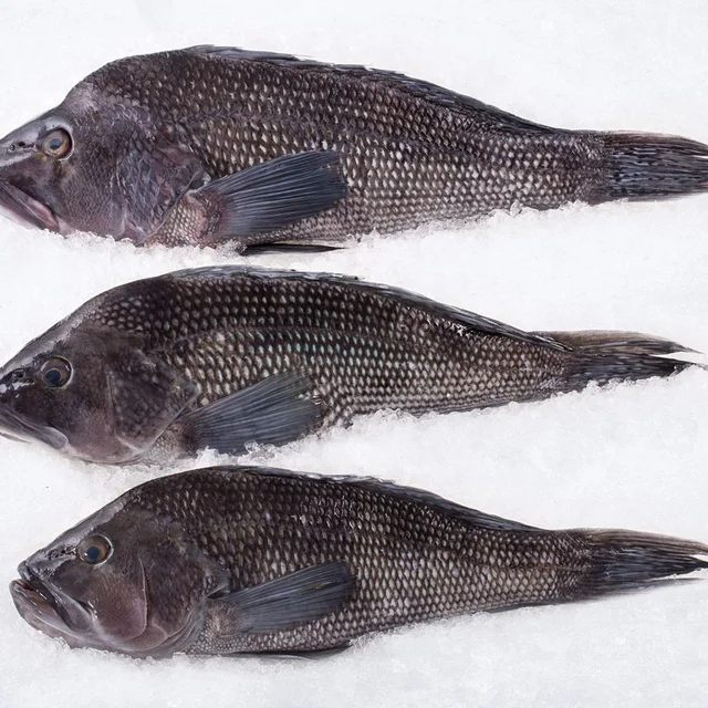 Mild Fish Harvest Seafood Market