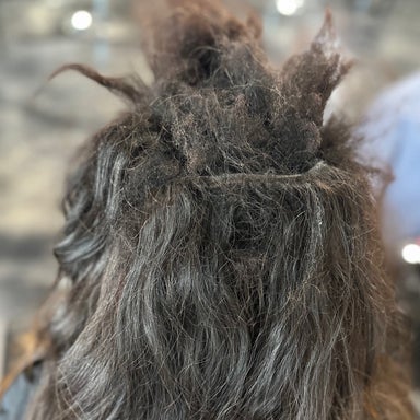 Detangle Hair (15-Minute Intervals)