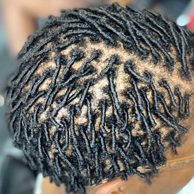 Starter Locs/ Comb Twist/ Comb Coils