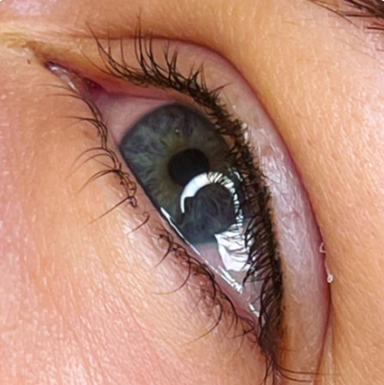 Lashline Perfecting Session - 3 to 6 Weeks