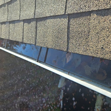 Gutter Cleaning