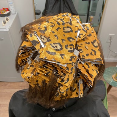 Full Highlight/Balayage