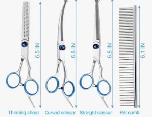 Scissor Rental