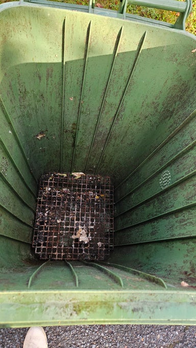 Waste bin cleaning