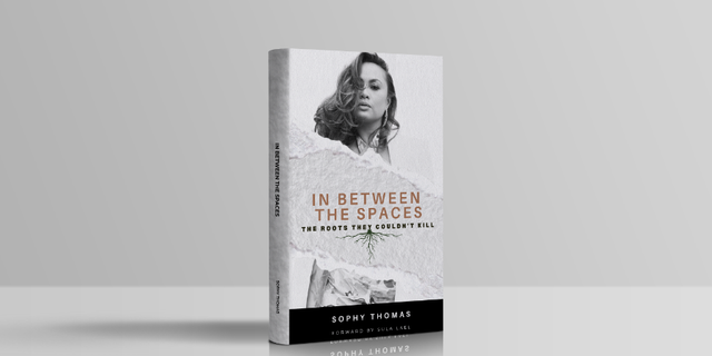 In Between The Spaces (Book) - The Common Wealth Group, LLC