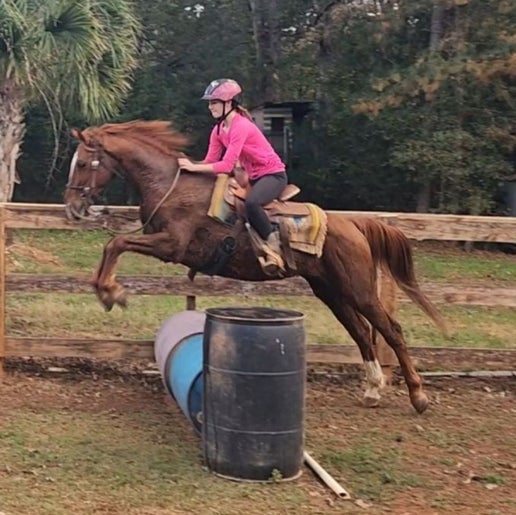 Horseback riding lessons at Cedar Hill Farm