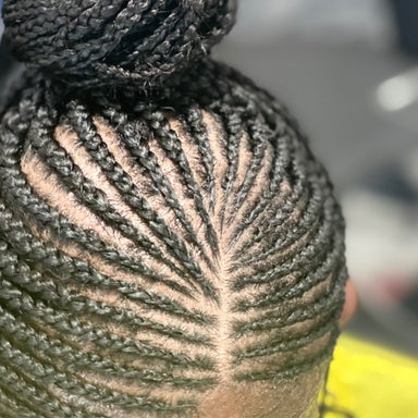 Braid Styles (consult with stylist) hair not included
