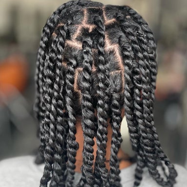 Two Strand Twist (natural hair) no feed in hair