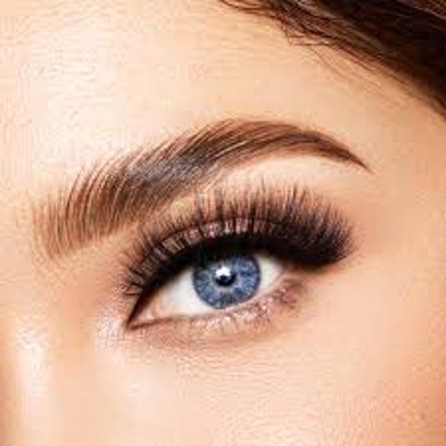 Lash & Brows