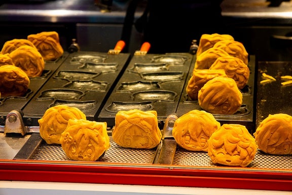 Private custom Akihabara tour