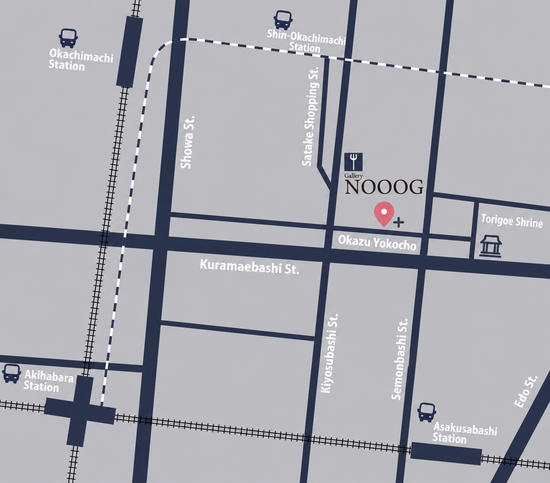 Gallery NOOOG access map