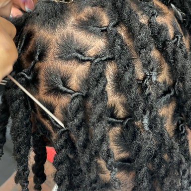 Locs Retwist & Maintenance Services (select options)