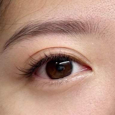 Natural Classic Eyelash Extensions