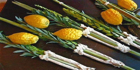 Lulav and Esrog set - Beth Ephraim Maplewood Jewish Center