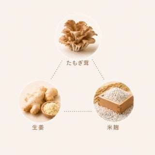 発酵免疫きのこ 素材