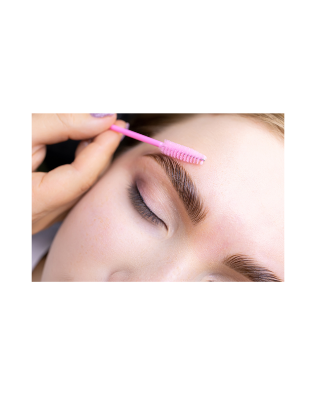Lash & Brow Perming and Tinting