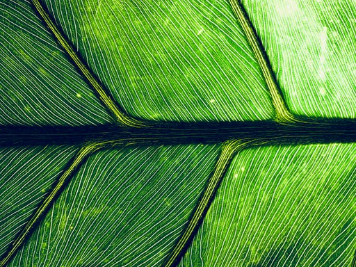 Bi-Weekly Meditation + Relaxation For Mind, Body & Soul